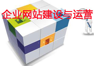 企業(yè)網(wǎng)站建設(shè)與運(yùn)營