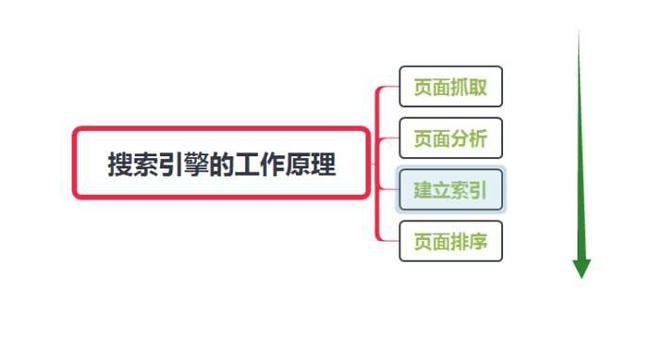 網(wǎng)站怎么讓蜘蛛快速抓取？